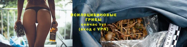 мет Сатка