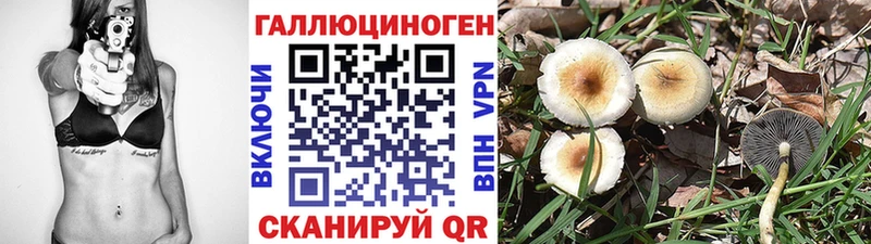 Галлюциногенные грибы мицелий кракен как зайти Няндома купить наркотики цена